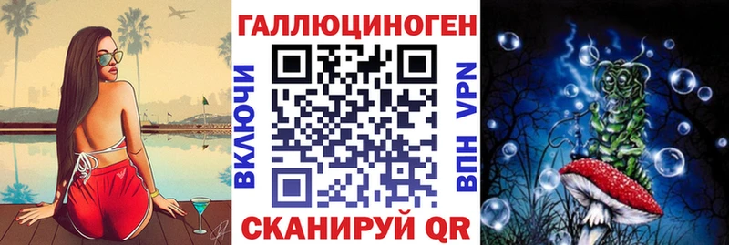Купить где  Староминская  Галлюциногенные грибы Psilocybine cubensis 